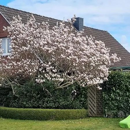 Ferienwohnung Ammerland-Blüte Westerstede Exterior foto